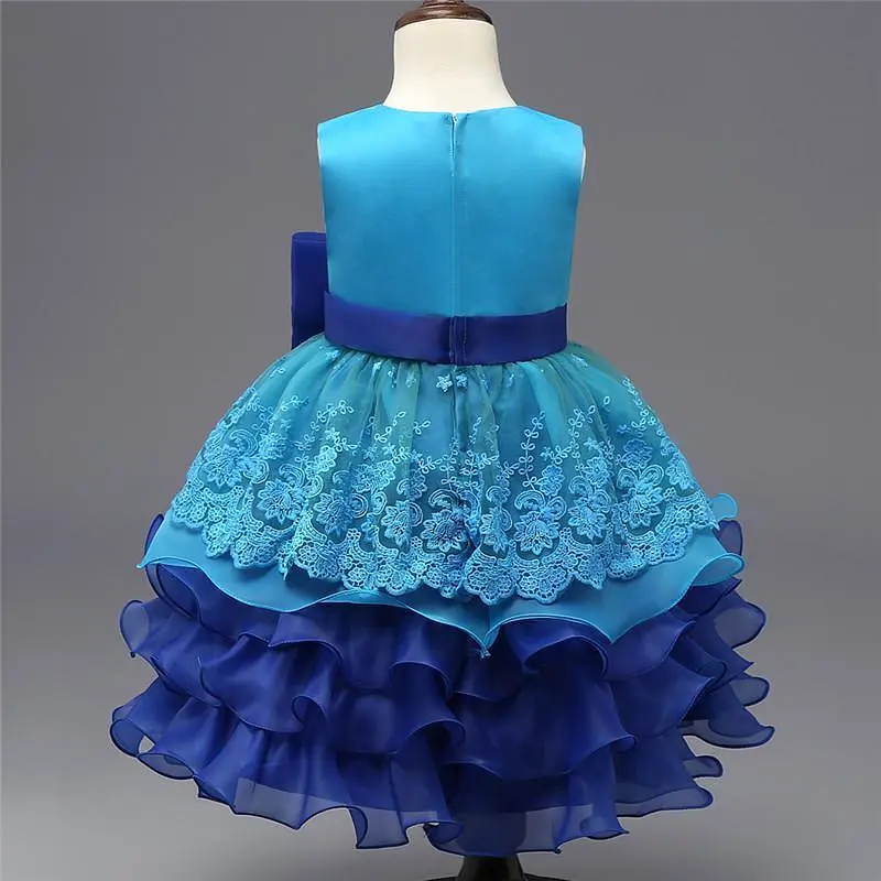 Baby Girls Princess Dress