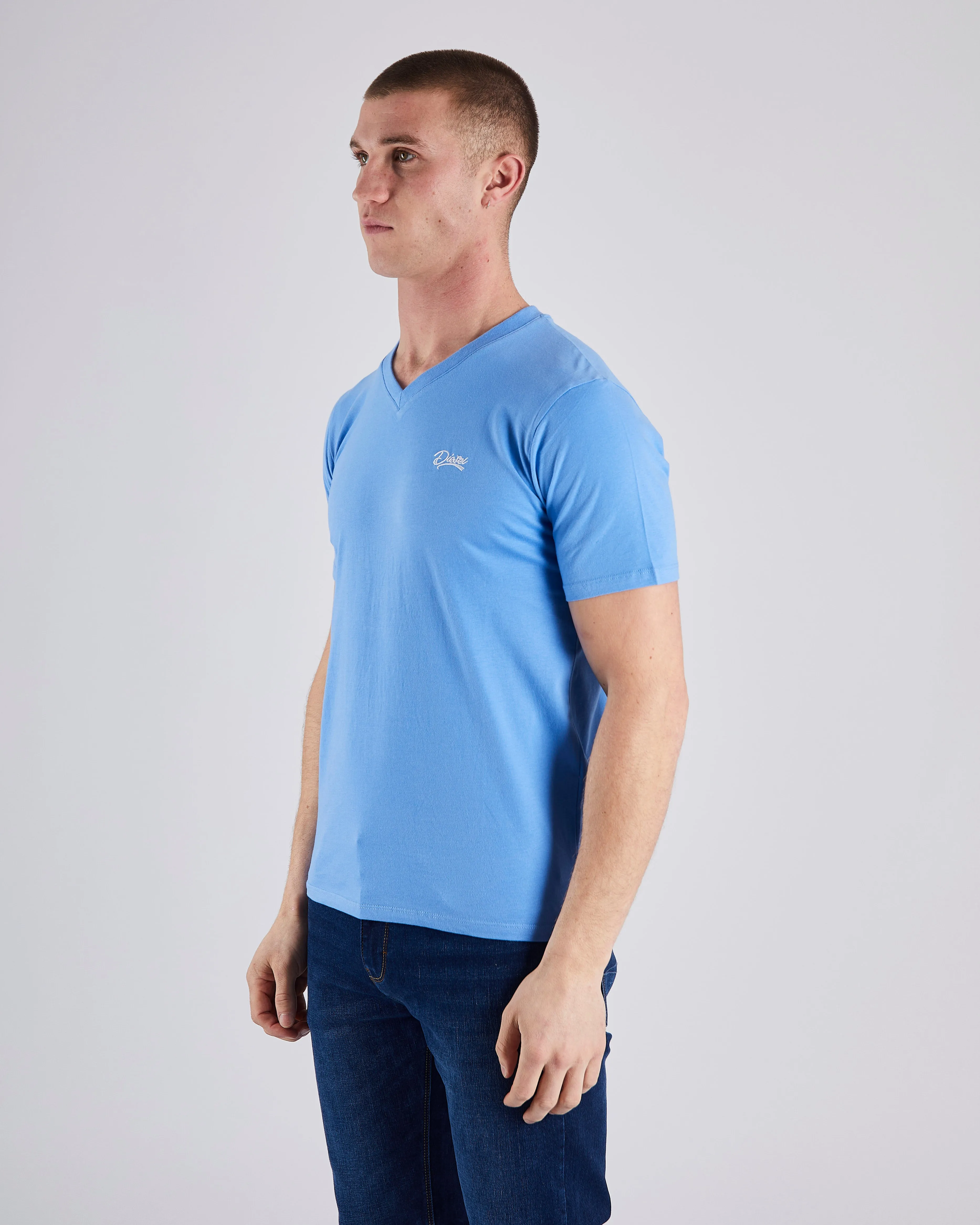 Basic Oakley V Neck Blue Spark