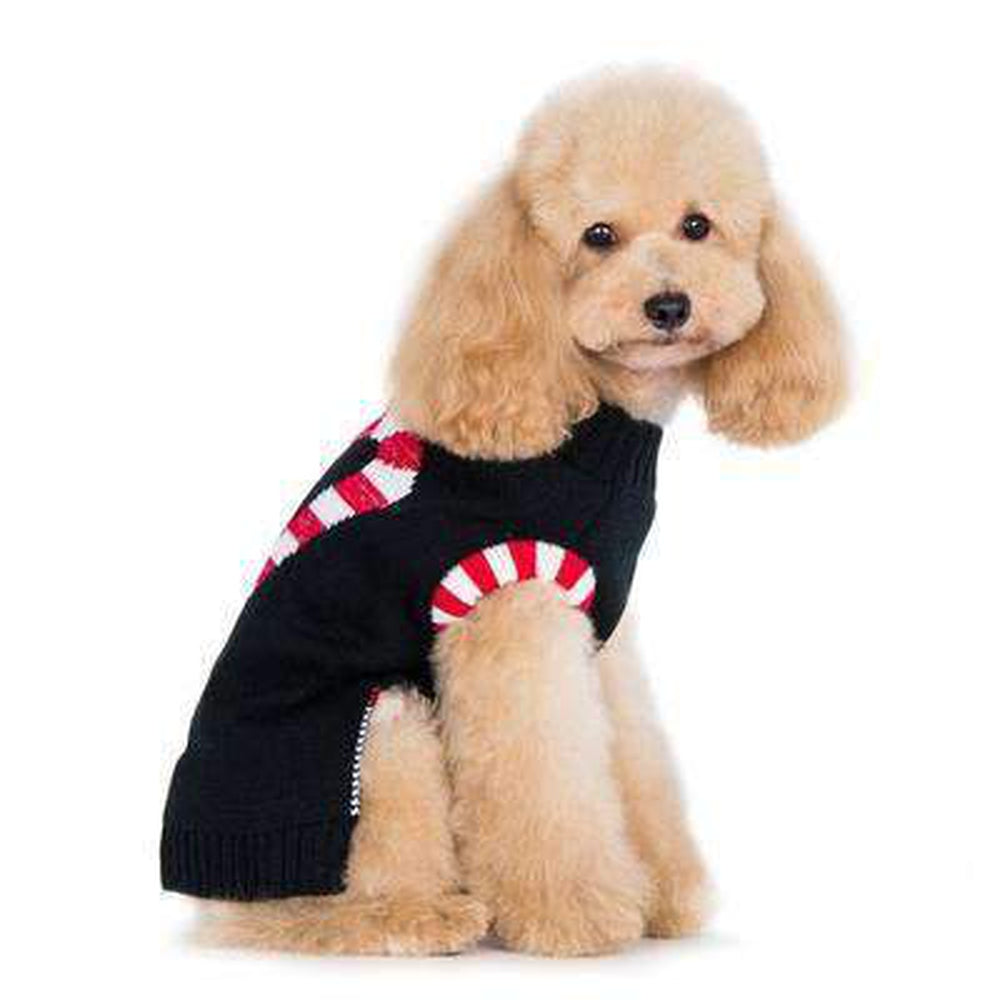 Candy Cane Dog Sweater