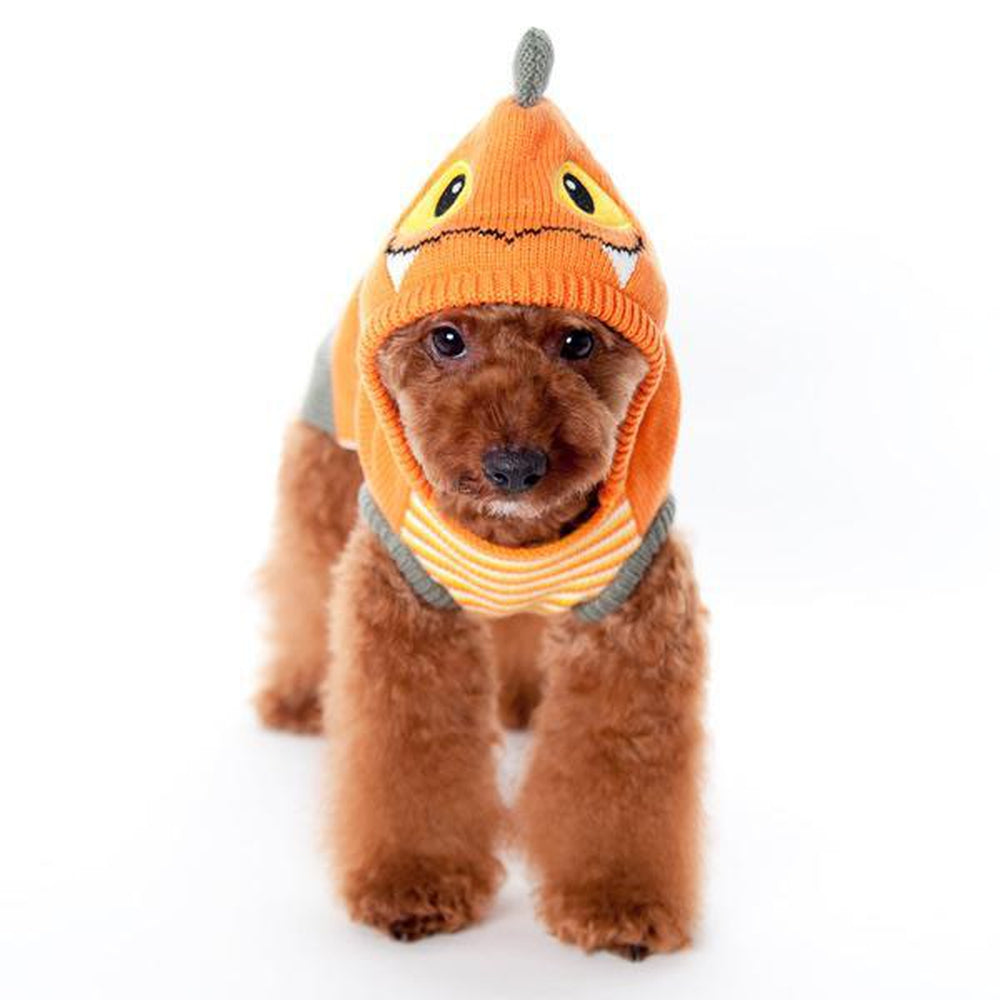 Dragon Dog Sweater - Orange