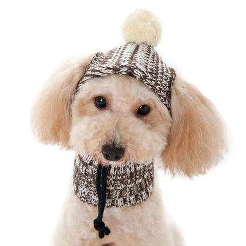 Pom Sweater Dog Hat