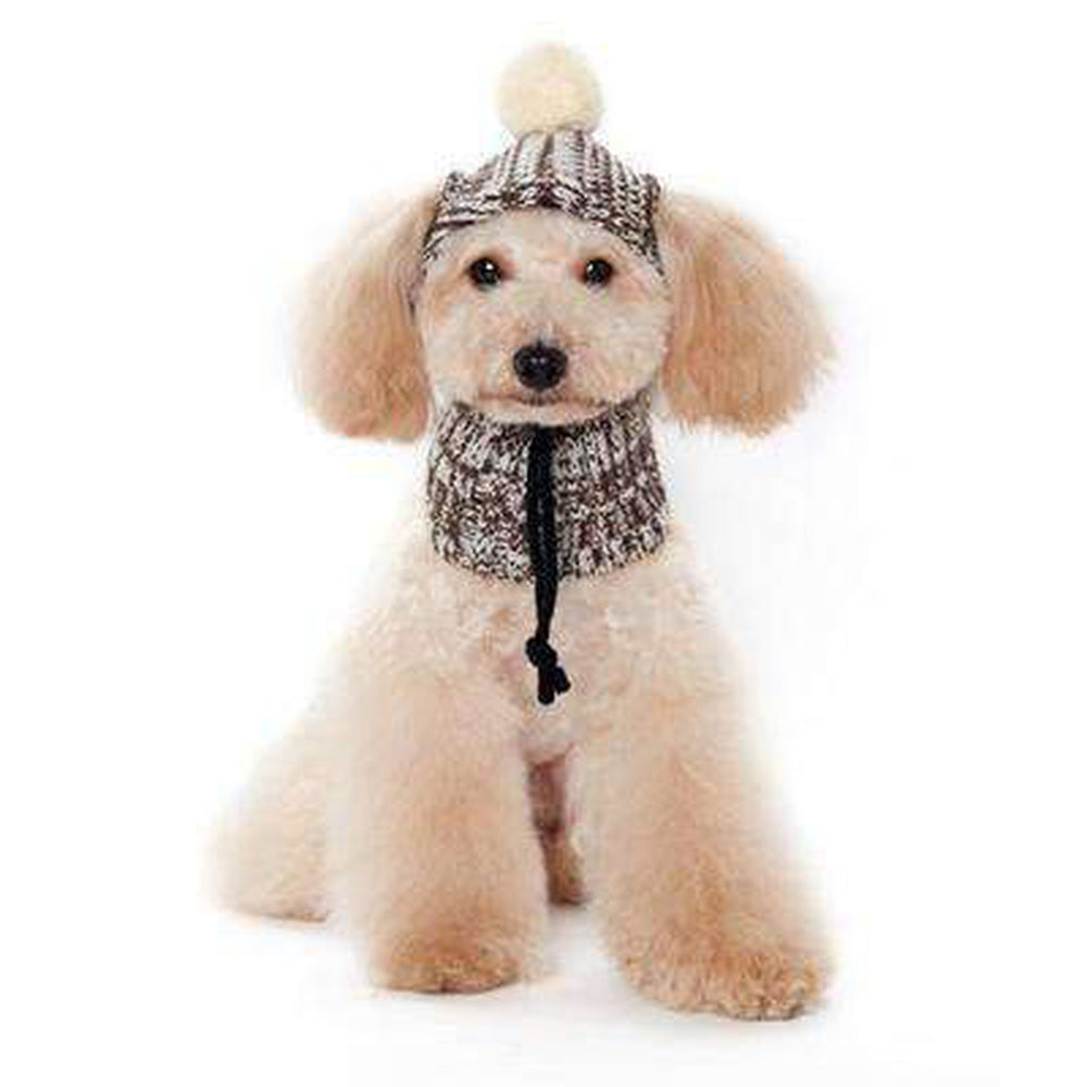 Pom Sweater Dog Hat