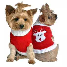 Rudolph Holiday Dog Sweater