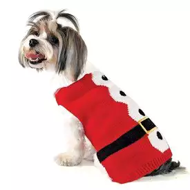 Santa Dog Sweater