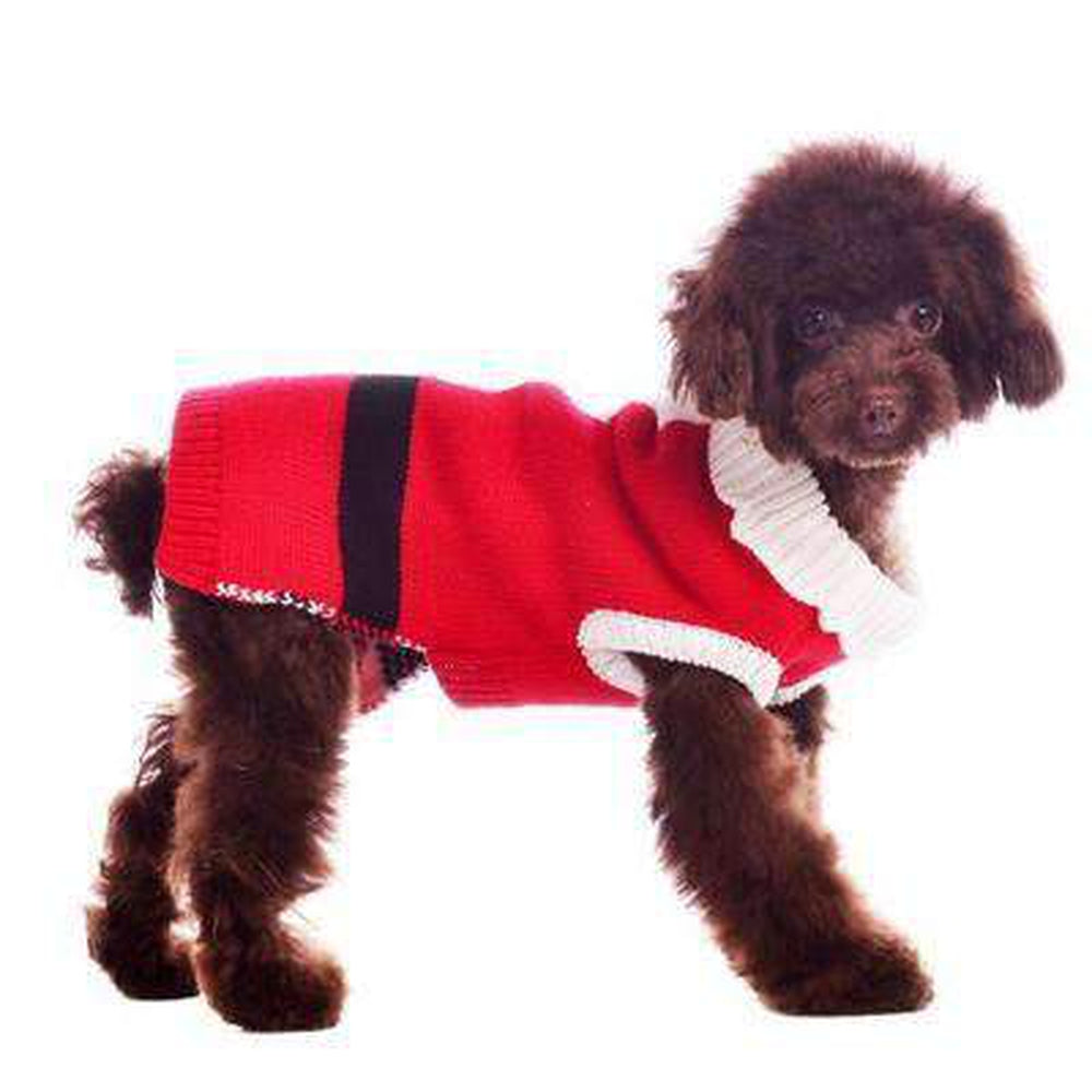 Santa Dog Sweater