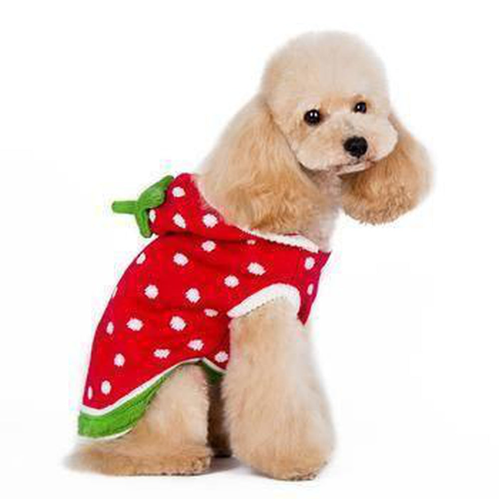 Strawberry Dog Sweater