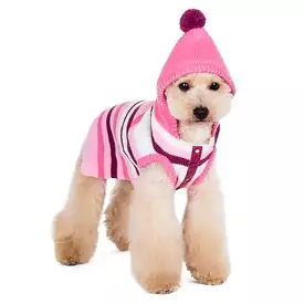 Uneven Stripes Sweater Dog Hoodie - Pink