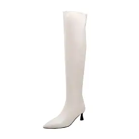 Women's Pointed Toe High Heel Over-the-Knee Boots